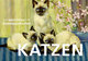 Postkarten-Set Katzen